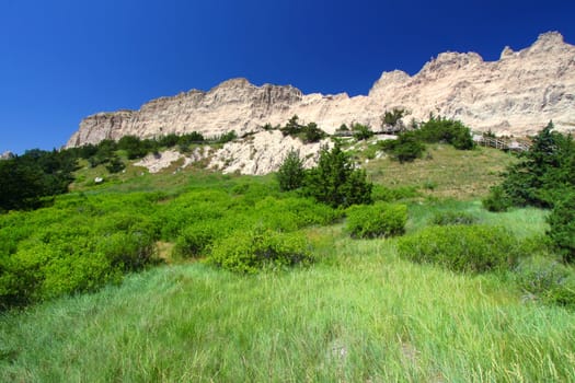 Oasis of dense vegetation by Cliff Shelf in Badlands National Park of South Dakota.