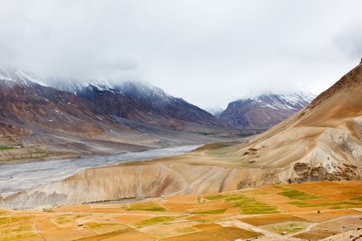 Fields in Spiti Valley in Himalayas. Himachal Pradesh, India