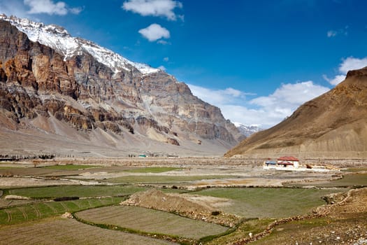 Spiti Valley. Himachal Pradesh, India