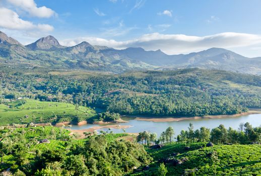 Tea plantations and mountains around lake. Munnar, Kerala, India