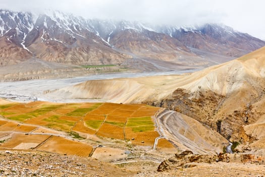 Fields in Spiti Valley in Himalayas. Himachal Pradesh, India