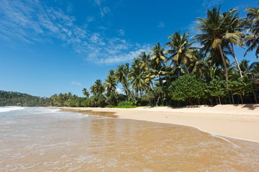 Tropical paradise idyllic beach. Sri Lanka