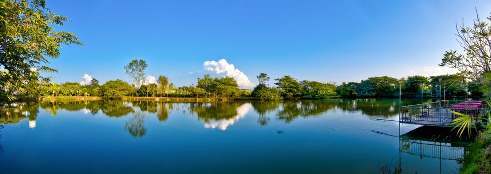 Tree and cloud Reflection of water with blue sky