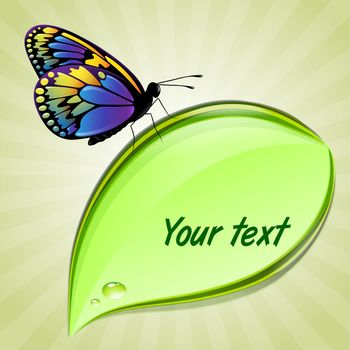 Butterfly sitting on green leaf with place for text