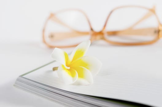 fresh  frangipani flowers over book , relax time