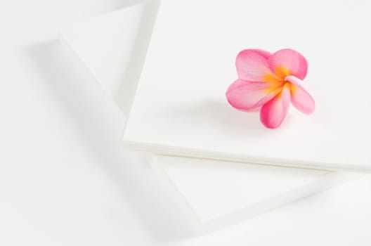 perfume frangipani flowers over white card