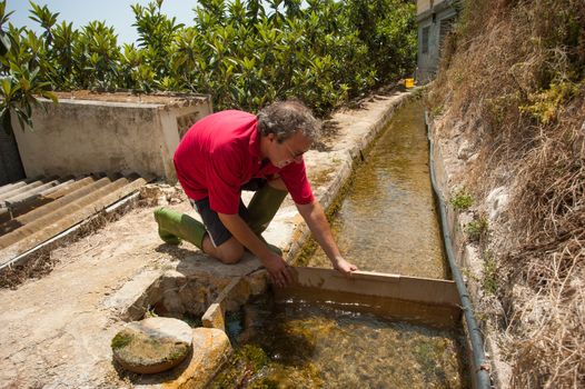 Farmer  redirecting water to irrigate his plantation