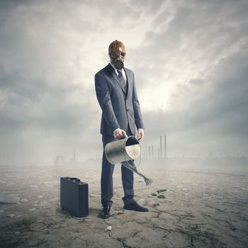 environment concept: businessman watering a lone plant in a barren desert.