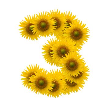 3, Sun flower alphabet isolated on white