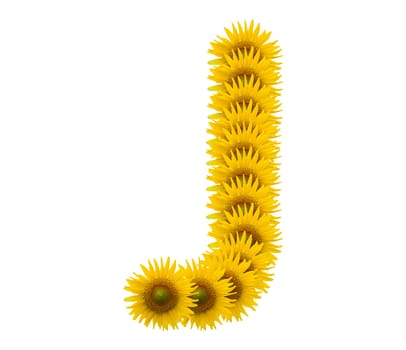 alphabet J, sunflower isolated on white background