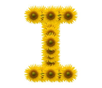 alphabet I, sunflower isolated on white background