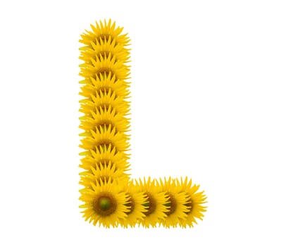 alphabet L, sunflower isolated on white background