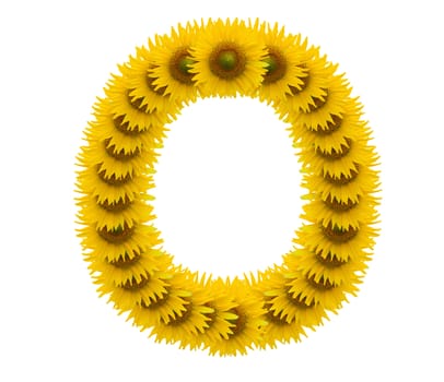 alphabet O, sunflower isolated on white background