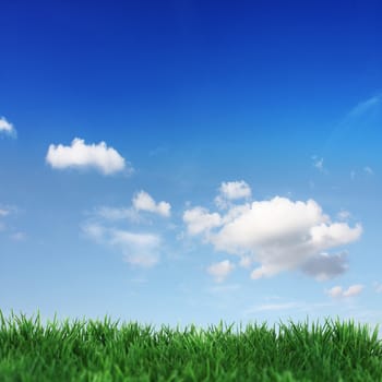 Green field and blue sky with white clouds 