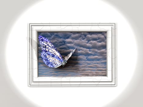 butterfly and frame