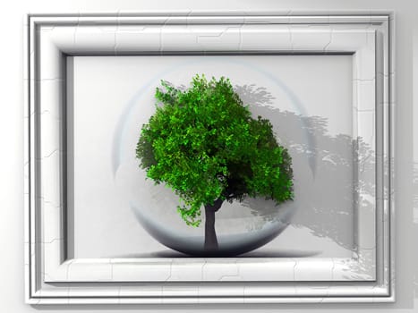 tree and frame