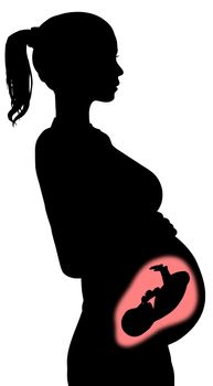 Illustration of pregnant woman showing the baby inside
