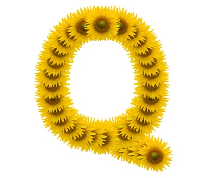 alphabet Q, sunflower isolated on white background