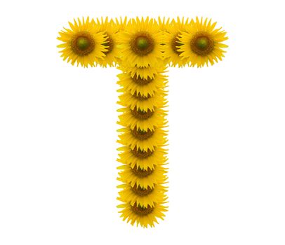 alphabet T, sunflower isolated on white background