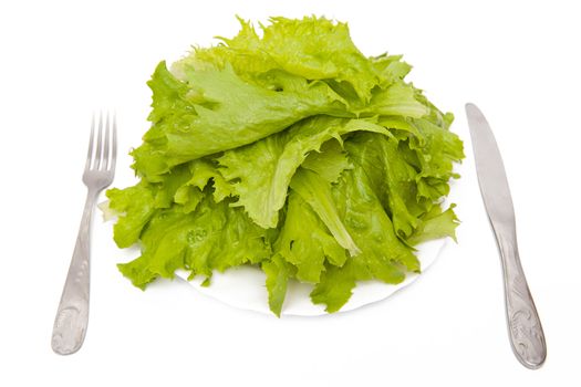 Fresh lettuce on the white plate