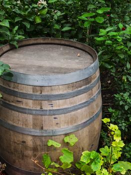 close up of rustic wooden barrel in the garden