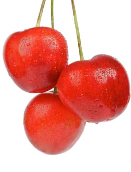 Three Sweet Cherry close up isolated on white background