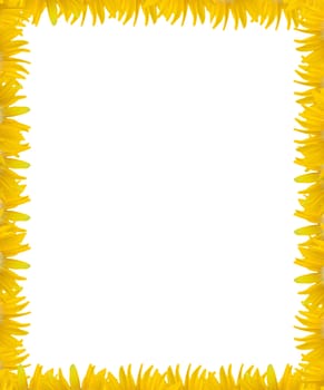 yellow flower frame with white space background