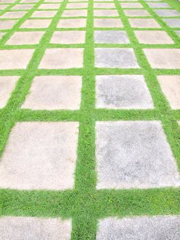 Beautiful grass tiles walk way in the garden  