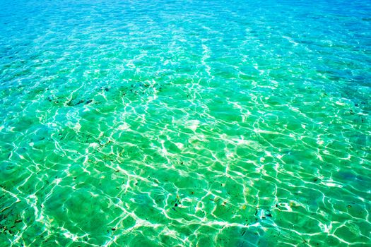 Transparent whater of the Thyrenian sea in Sardinia