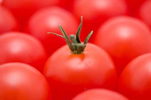 Red tomatoes background