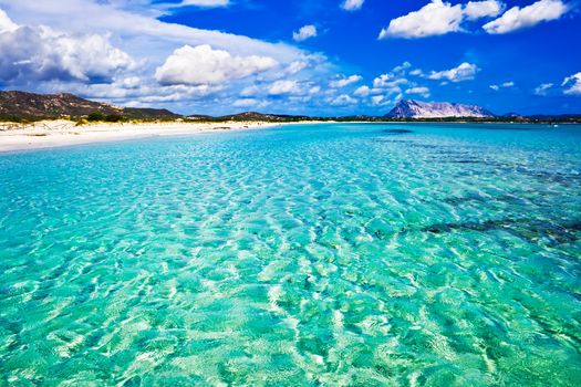 Clear sea and sandy beach La Cinta, Sardinia, Italy