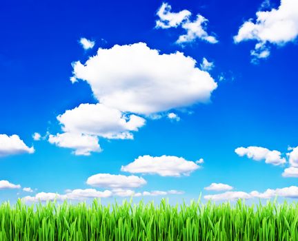 Green grass under blue cloudy sky