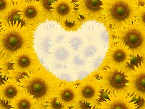 Beautiful sunflower with space heart shape