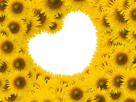 Beautiful sunflower with white space heart shape