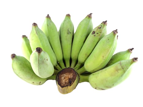Fresh cultivated banana, raw banana   