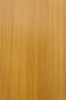 Teak wood commonly used in home decoration or shops to make them look nice and clean.