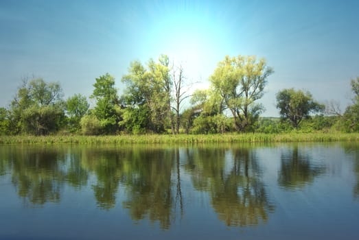 Forest and river in the morning, sunrise