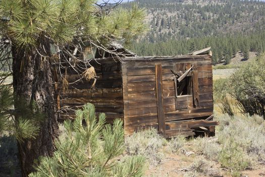 an abandoned western barn in the high sierras