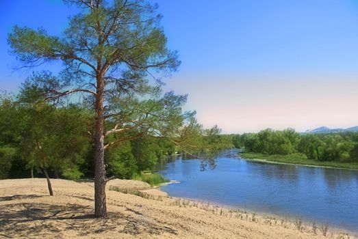 River in pine and fir forest, East Europe