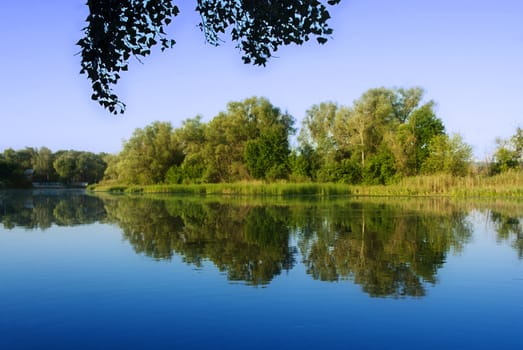 River in forest, East Europe