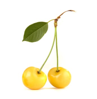 yellow cherry �n a white background