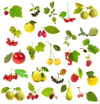 Fruit with a leaflet on a white background fruit                          
