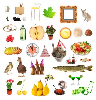 use subjects on a white background