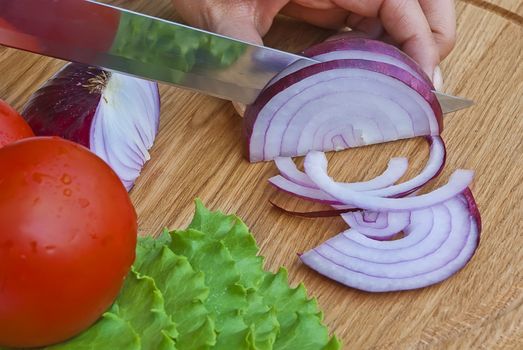 Preparing vegetables in home kithen 