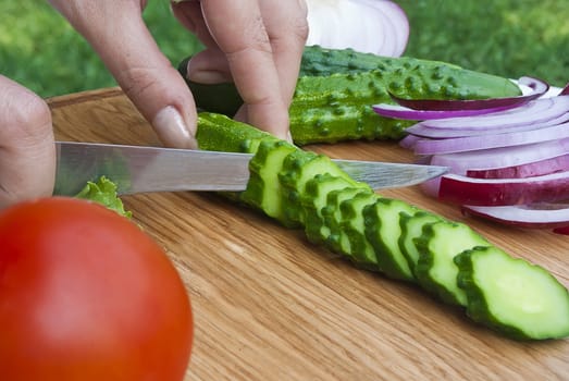 Preparing vegetables in garden on picnic