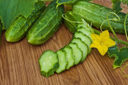 Preparing vegetables in garden on picnic