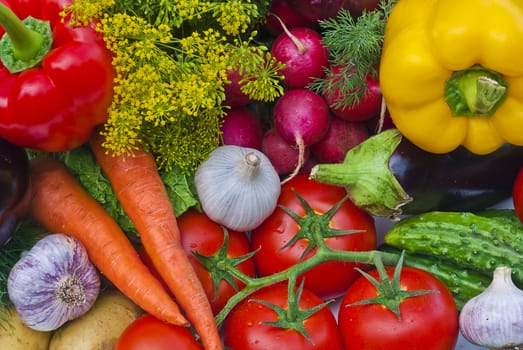 Group of vegetables close-up view