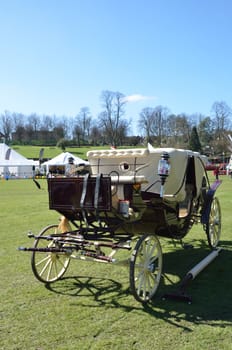 Wedding Carriage at Fair