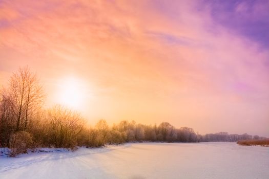 Landscape with a winter forest