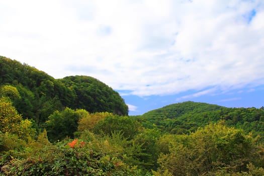 Summer beautiful landscape with Caucasus green mountains